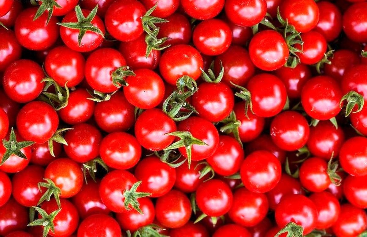 تصویر 3 از گوجه‌ فرنگی مینیاتوری تازه‌ چین با عطر طبیعی